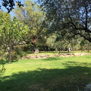 Photo 6 - Mas Provençal avec piscine et patio - 