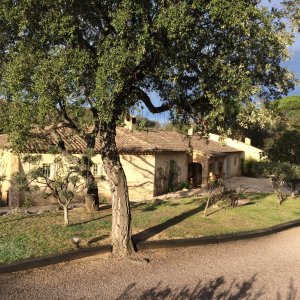 Photo 9 - Provencal farmhouse with swimming pool and patio - 