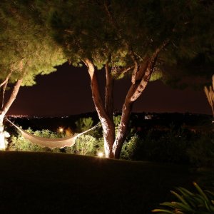 Photo 6 - Saint-Tropez villa and small vineyard  - 