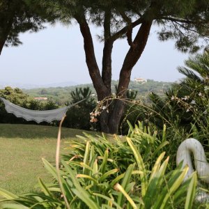 Photo 19 - Saint-Tropez villa and small vineyard  - 