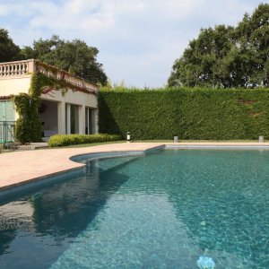 Photo 22 - Saint-Tropez villa and small vineyard  - 