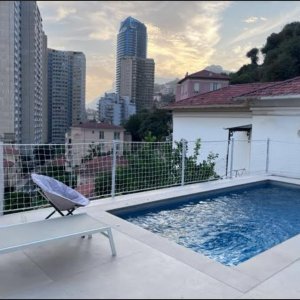 Photo 2 - Villa with swimming pool and garden, haven of peace, Monaco - La piscine et la vue